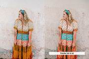 20 Boho Style Lightroom Presets LUTs, a Preset Add-On by SparkleStock (Thumbnail 6 of 13)
