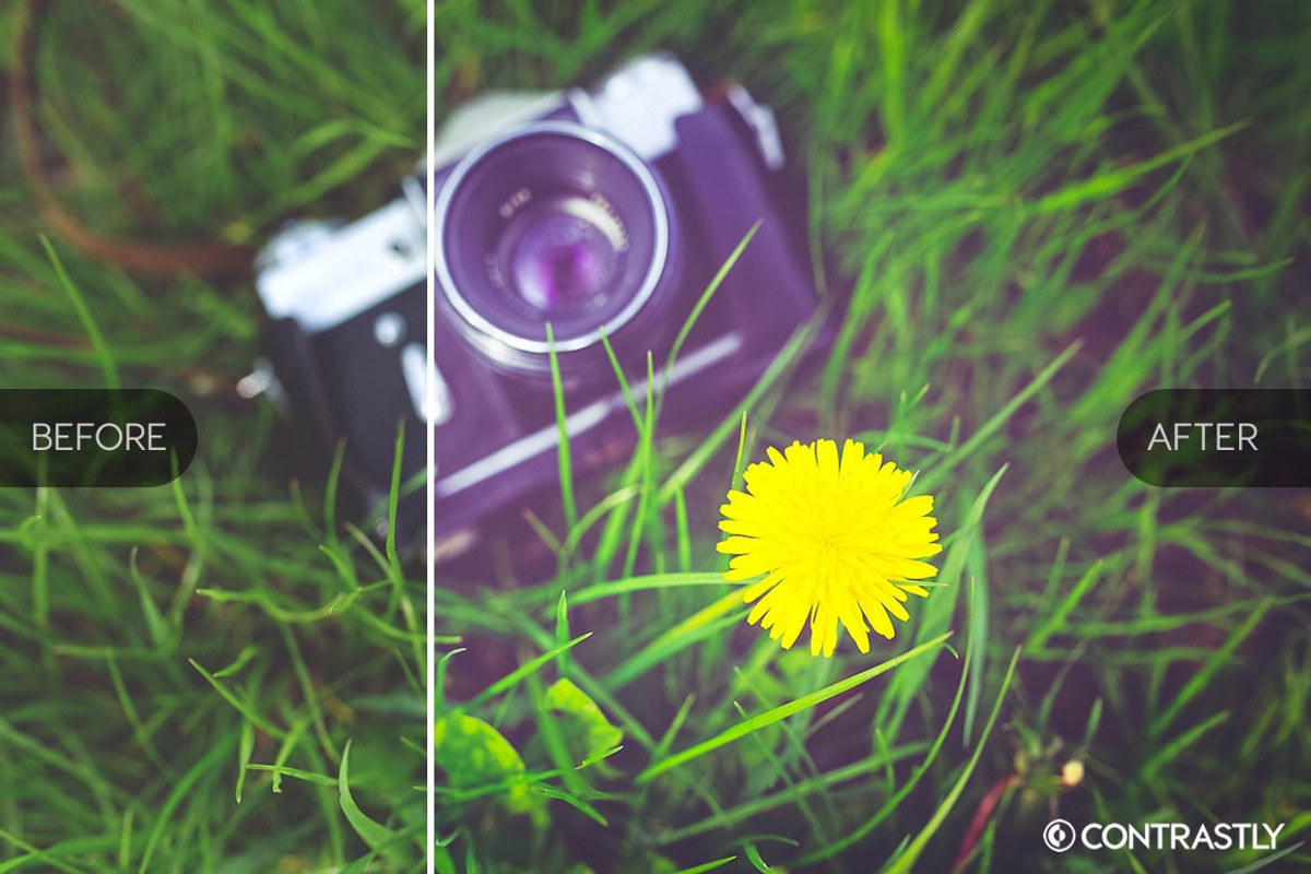 Spring Breeze Lightroom Presets, an Action Add-On by Contrastly Shop (Photo 2 of 4)