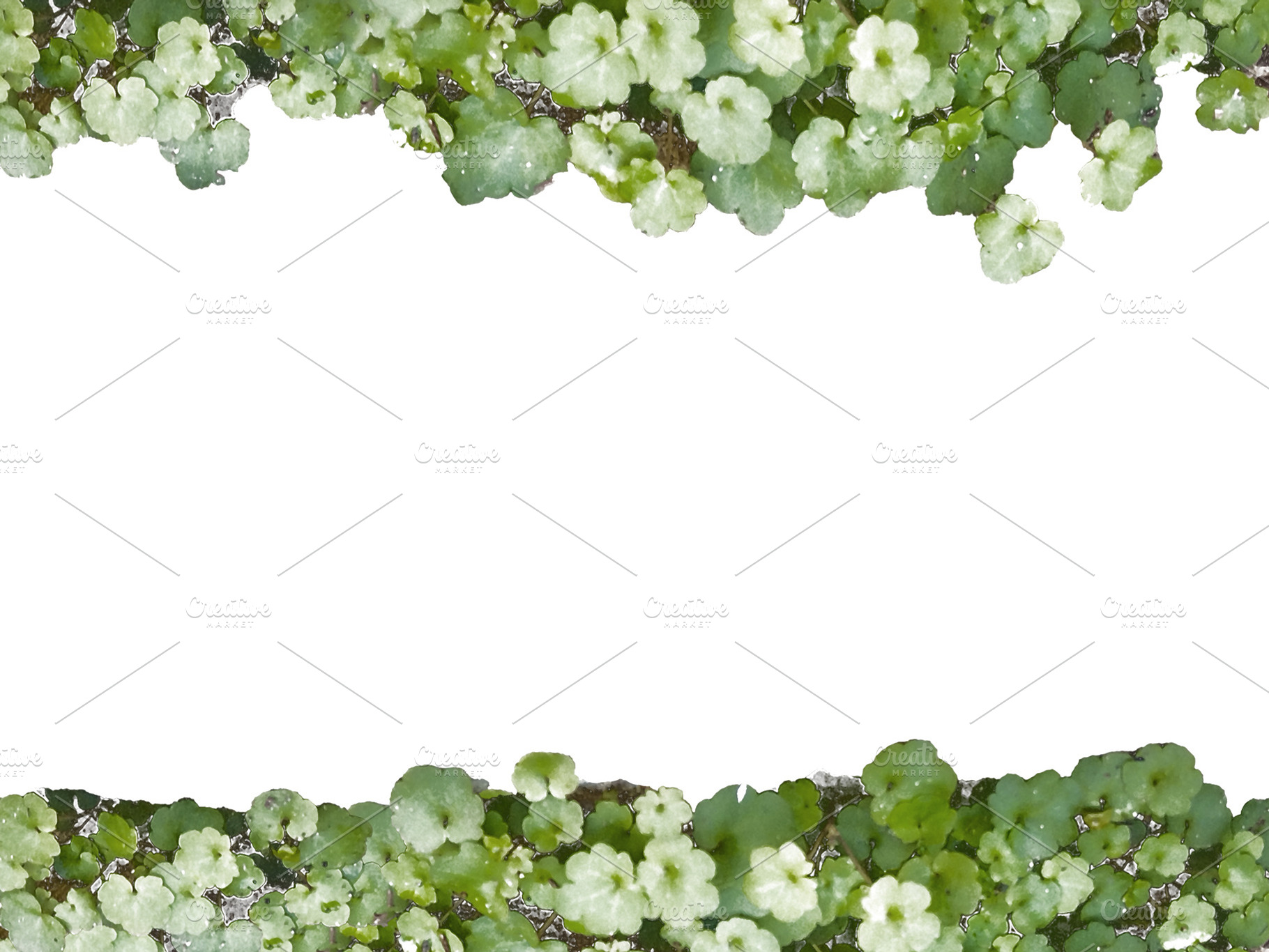 Blank frame with green little plant borders, a Background Photo by DanFLCreativo