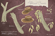 Koalas Collection | 22 Elements, an Animal Illustration by Jen Digital Art (Thumbnail 3 of 7)