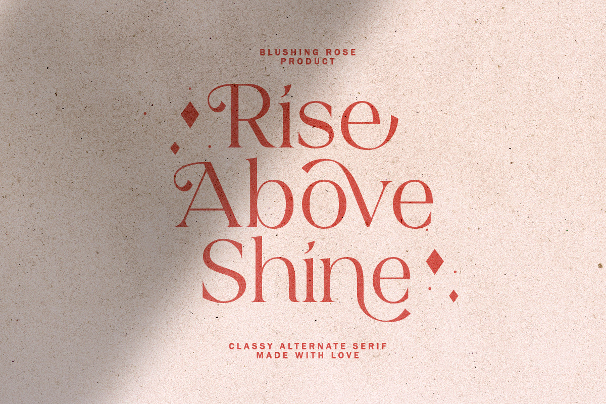 Blushing Rose - Stylish Modern Serif, a Serif Font by Sarid Ezra (Photo 13 of 13)