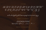 Virgolate - Wedding Font, a Script Font by Letterhend Studio (Thumbnail 9 of 9)