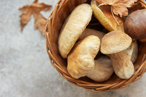 Fresh mushrooms in wicker basket with autumn leaves symbolizing, a Food & Drink Photo by Olena Rudo