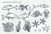 Sea Animals Pencil Clipart, an Illustration by Hanna's ArtLab (Thumbnail 3 of 4)