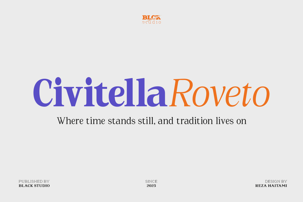 La Rochelle | Serif Family-83 Style, a Serif Font by Black Studio (Photo 5 of 15)