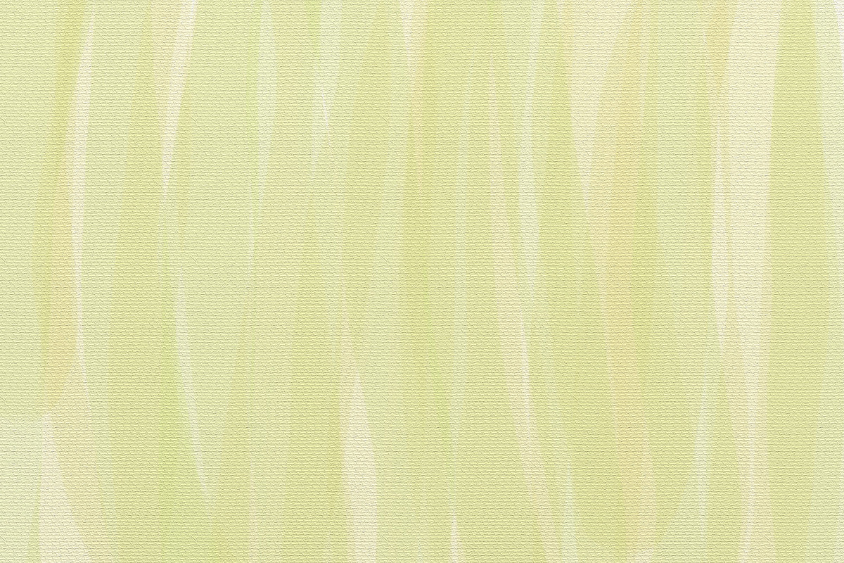 6 Canvas Backgrounds preview 7