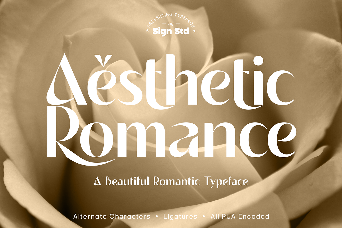 Aesthetic Romance, a Sans Serif Font by Sign Studio (Photo 1 of 16)