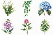Vintage Botanical Clipart, an Illustration by OK Design (Thumbnail 3 of 5)