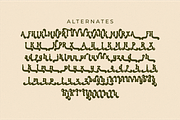 Retro and Chips - Retro Display Font, a Sans Serif Font by Ainun Jinan (Thumbnail 11 of 11)
