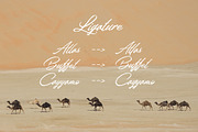 Welinedion, a Script Font by Aantebas (Thumbnail 5 of 5)