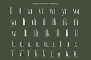 Ranbila Elegant Ligature Serif, a Serif Font by Alfinart (Thumbnail 8 of 10)