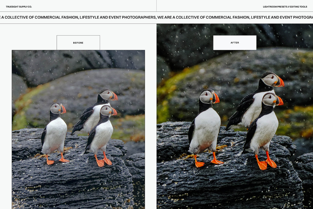A Song Of Ice - Lightroom Presets, a Preset Add-On by Truesight Supply Co. (Photo 5 of 10)