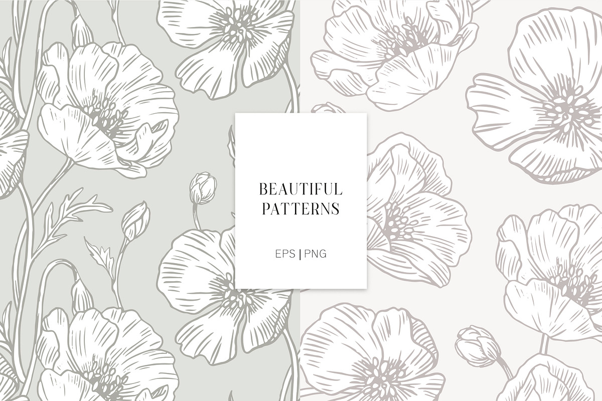 Elegant Poppies Spring flowers, an Illustration by ms Julia Nova (Photo 4 of 7)