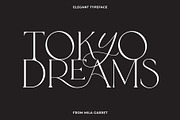 Tokyo Dreams Display Ligature Serif, a Serif Font by Mila Garret (Thumbnail 5 of 28)