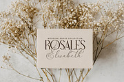 Narque Holden Gold Font Duo, a Serif Font by Storytype Studio (Thumbnail 7 of 15)