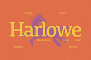 Harlowe – Natural Display Serif Font, a Serif Font by ethylene.creative (Thumbnail 1 of 9)