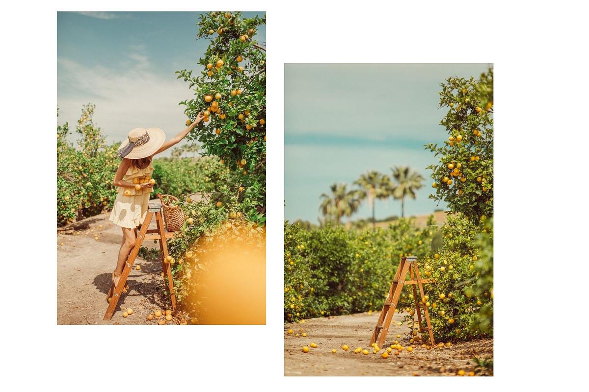 Limoncello Styled Stock Photo Bundle, a Background Photo by Munopia (Photo 2 of 7)