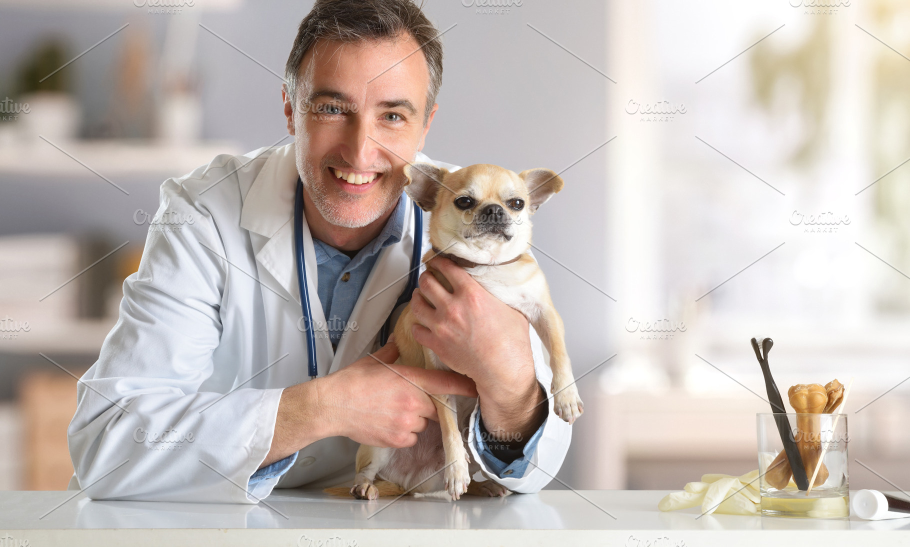 Smiling Veterinarian Holding Chihuahua in Clinic, an Animal Photo by Davizro's Market