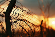 Barbed wire - 55 images, a Background Photo by Handmadefont (Thumbnail 15 of 15)