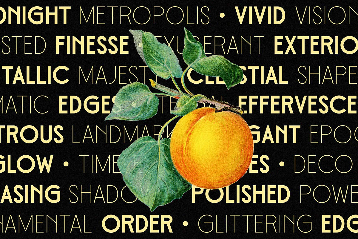 Metrovan - Art Deco Style, a Sans Serif Font by Novitype (Photo 9 of 11)