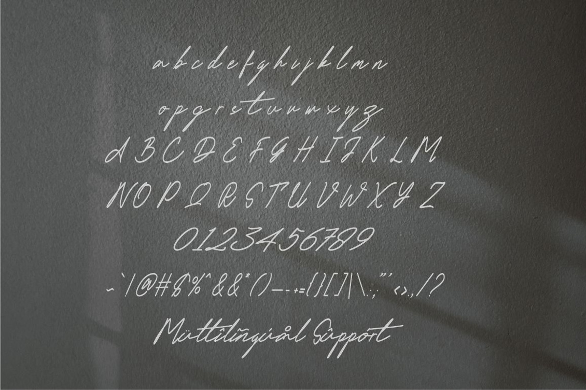 Delimis Script Font, a Script Font by JNJ Studio (Photo 9 of 10)