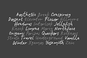 Paradise Valley, a Handwritten Font by Bluestudio (Thumbnail 4 of 8)