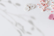 Plant Shadow Backdrops Video Bundle, a Mockup by rebrandy (Thumbnail 17 of 24)