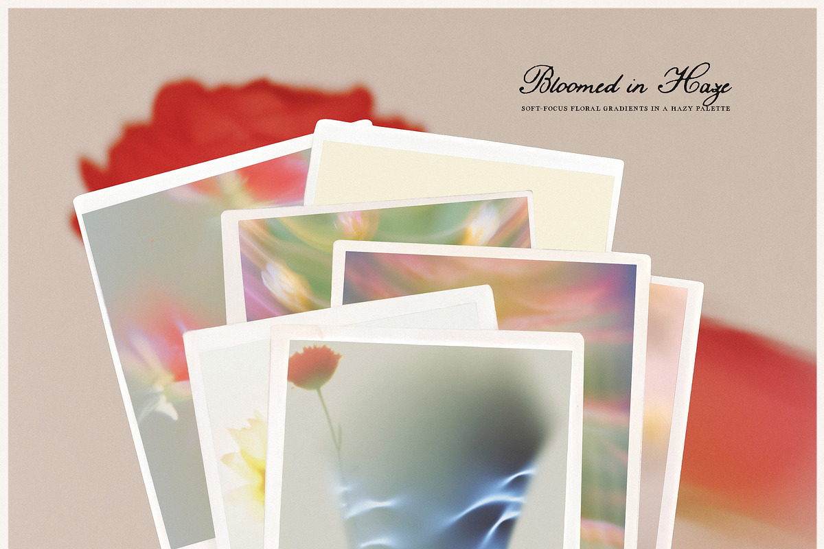 Bloomed in Haze: Floral Backgrounds, a Background Graphic by Purple (Photo 10 of 14)