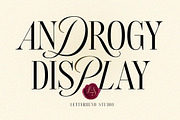Androgy Display, a Serif Font by Letterhend Studio (Thumbnail 1 of 9)