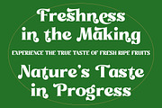 Misago Sweet Retro Serif Font, a Serif Font by timelesstype.co (Thumbnail 4 of 20)