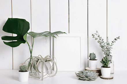 Collection of plants & frame stock photo containing laptop and minimal, an Arts & Entertainment Photo by KateAedon