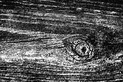 Wood Grain Overlay / Texture Pack 1, a Texture Graphic by Ryan McGehee (Thumbnail 12 of 13)