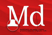 Quantik Contemporary Serif, a Serif Font by Parker Creative (Thumbnail 3 of 6)