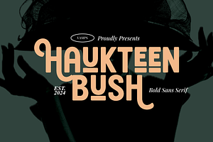 Haukteen Bush – Decorative Font