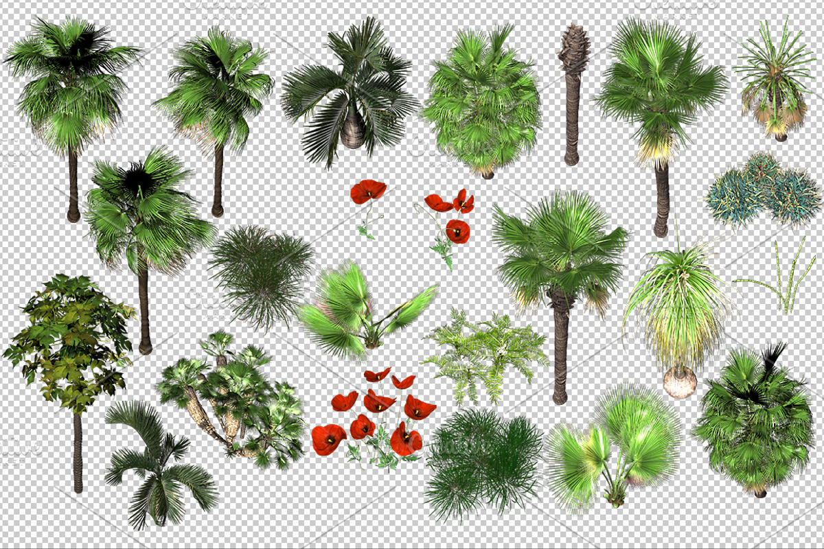 Desert Jungle Game Background, an Object Graphic by Beatheart Creative Studio (Photo 5 of 14)