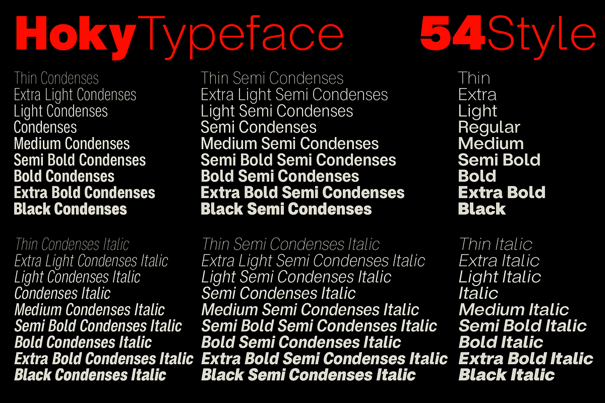 ZT Hoky Geometric - 54 Fonts, a Sans Serif Font by zelow type (Photo 4 of 15)