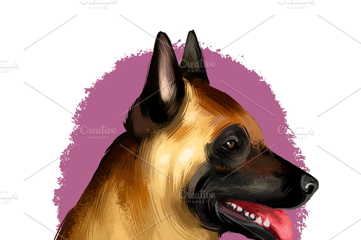 Most Popular Dog Breeds Pet Portrait, an Animal Illustration by Dneprstock (Photo 4 of 23)