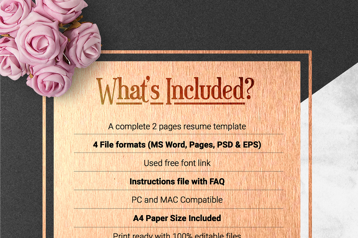 Resume, a Resume Template by ResumeInventor (Photo 5 of 5)