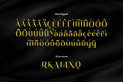 Flowza - A Dynamic Display Font, a Serif Font by overlaytemplates (Thumbnail 5 of 5)
