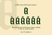CS Alore Drawn, a Blackletter Font by Craft Supply Co. (Thumbnail 5 of 8)