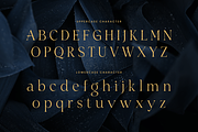 Siren - Lavish Luxury Font, a Serif Font by Sensatype (Thumbnail 9 of 12)