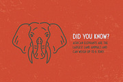 African Animals Icon Pack, an Icon by David Basye Design (Thumbnail 3 of 4)