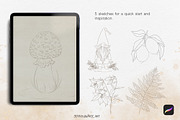 Procreate Brushes-Watercolor brushes, a Brush Add-On by Jenny Quince (Thumbnail 11 of 12)