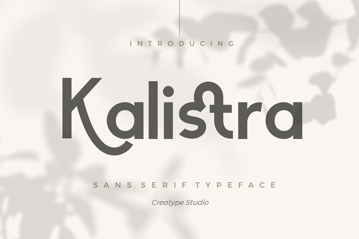 Kalistra Sans Serif Typeface, a Sans Serif Font by Creatype Studio (Photo 1 of 9)