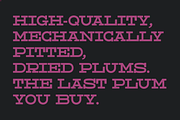 Dried Plums - Display Font, a Serif Font by Suolahti Type (Thumbnail 3 of 11)