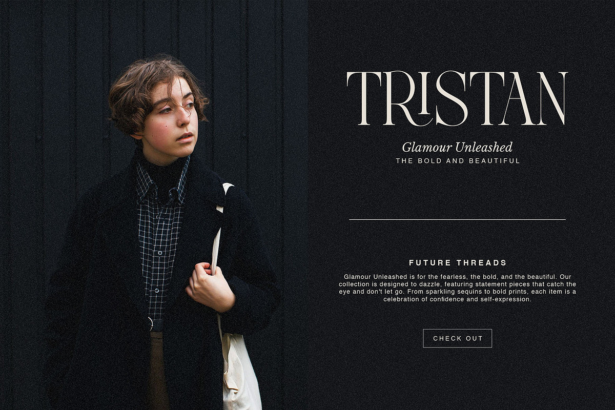 Avelire-modern ligature, a Serif Font by ToniStudio (Photo 3 of 11)