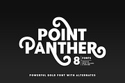 Point Panther (8 BOLD FONTS), a Sans Serif Font by Sarid Ezra (Thumbnail 1 of 10)