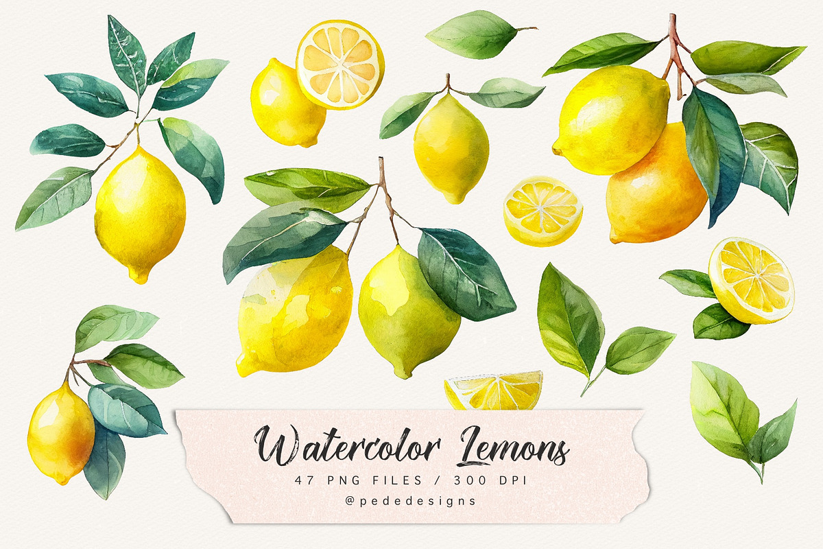 Watercolor Lemons, a Food Illustration by PeDe Designs (Photo 4 of 4)