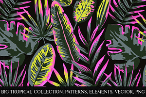 Neon tropical collection