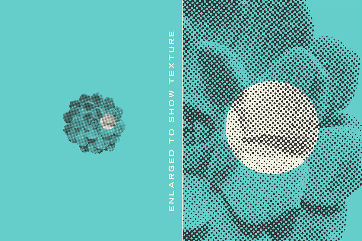 Succulent Halftones, a Texture Graphic by GhostlyPixels (Photo 2 of 13)